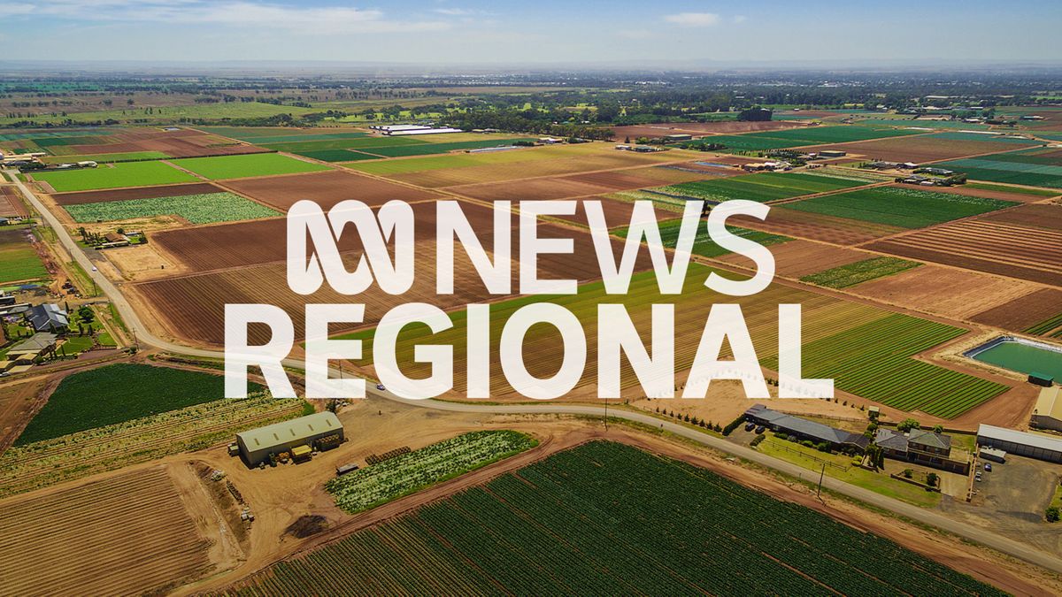 ABC News Regional