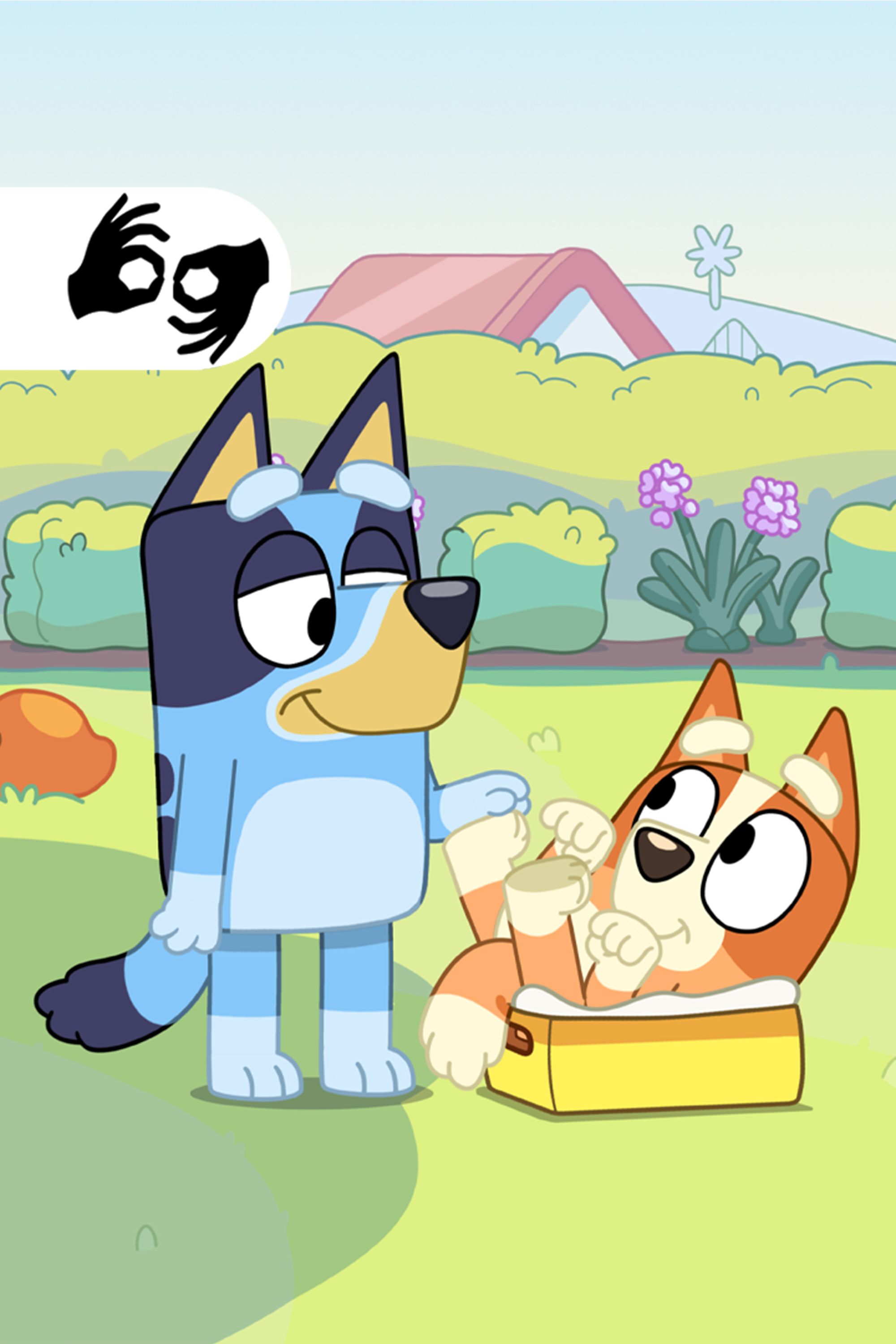 Bluey (Auslan)