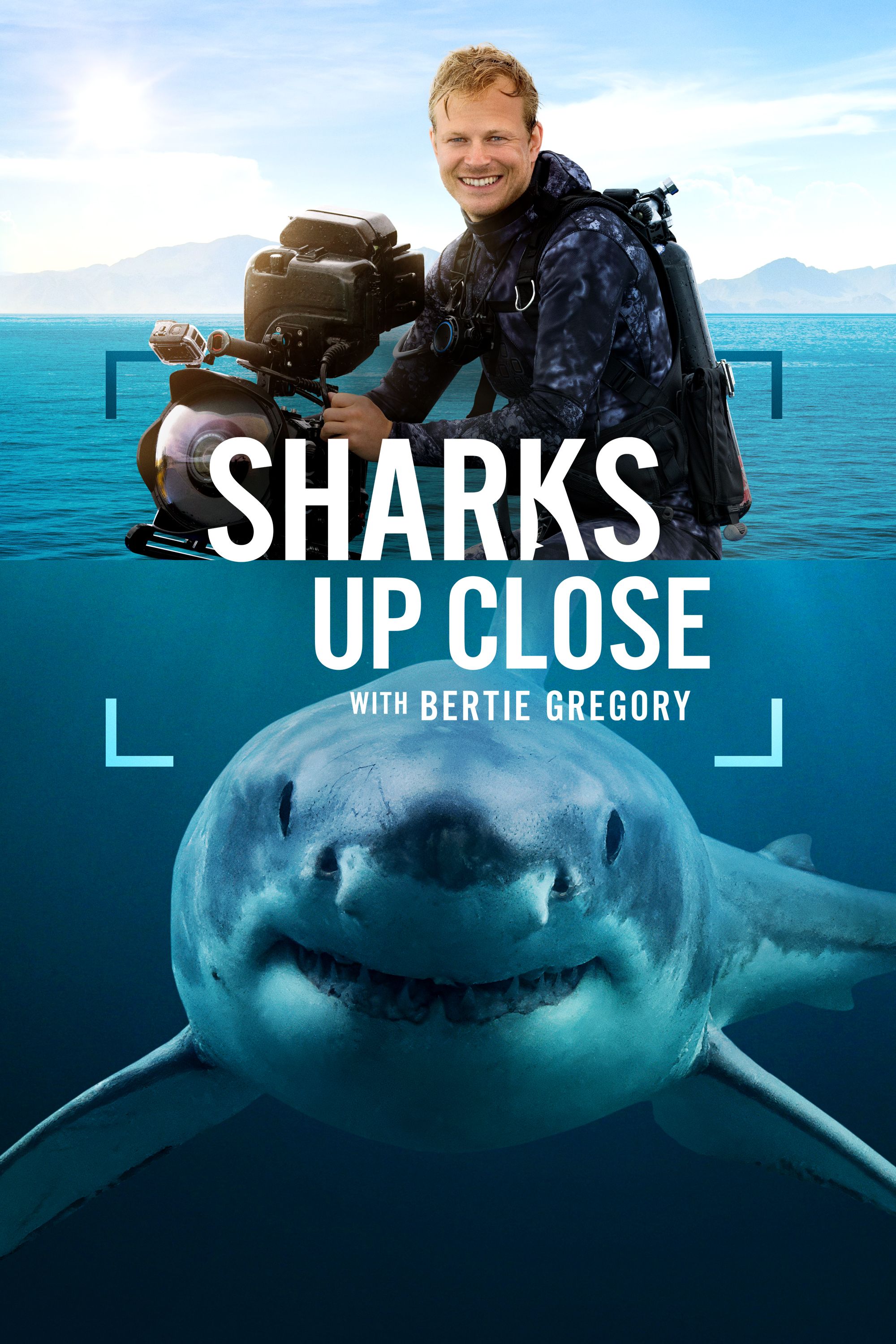 Sharks Up Close With Bertie Gregory