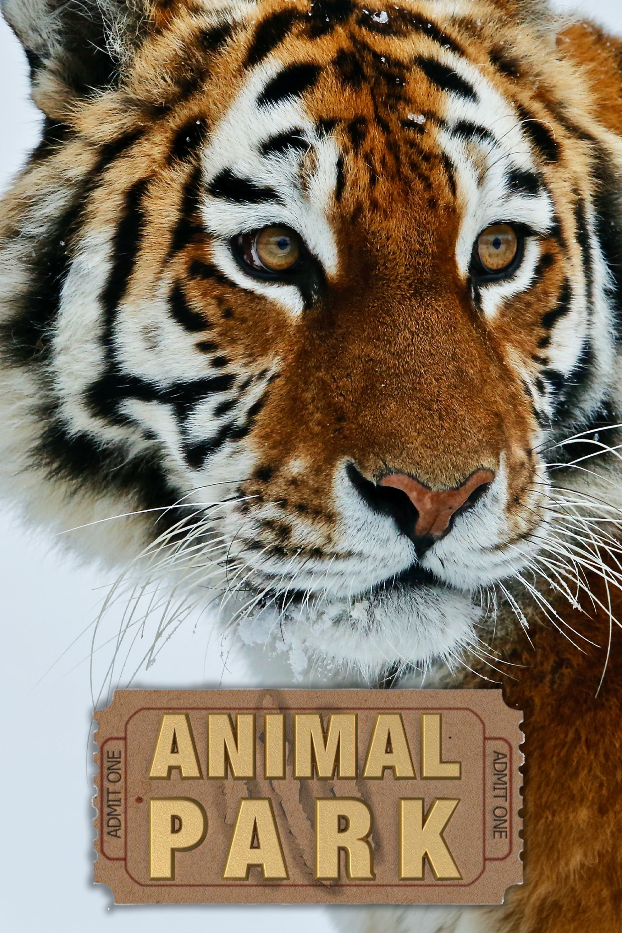 Animal Park