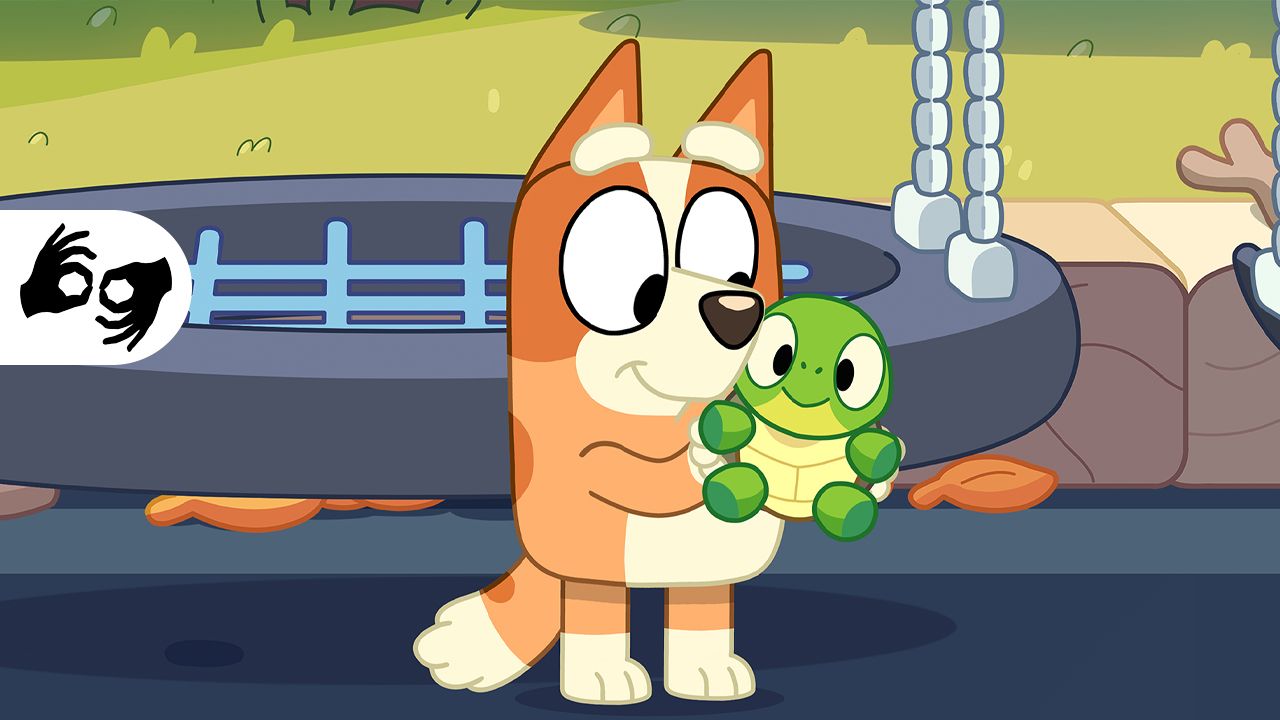 Bluey: Turtleboy (Auslan)
