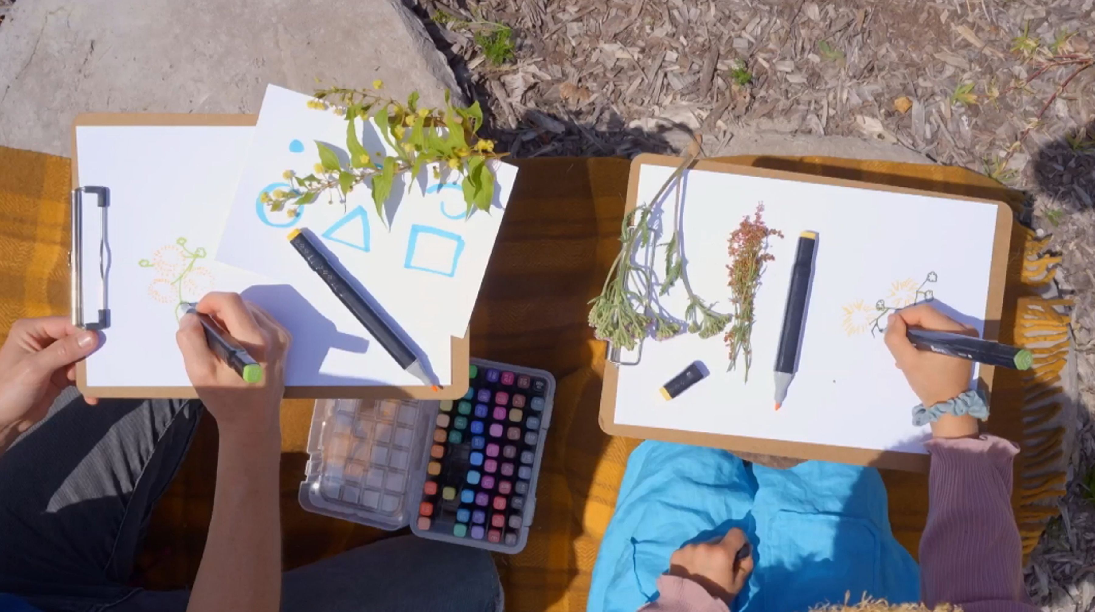 How To Draw - Wildflowers
