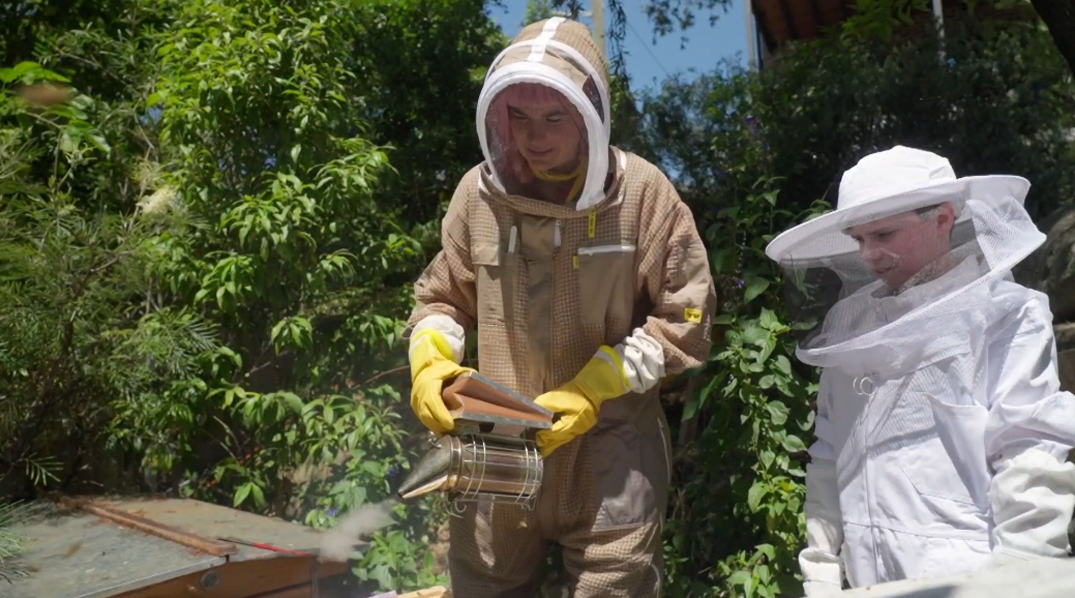 Mini Farms - Bees