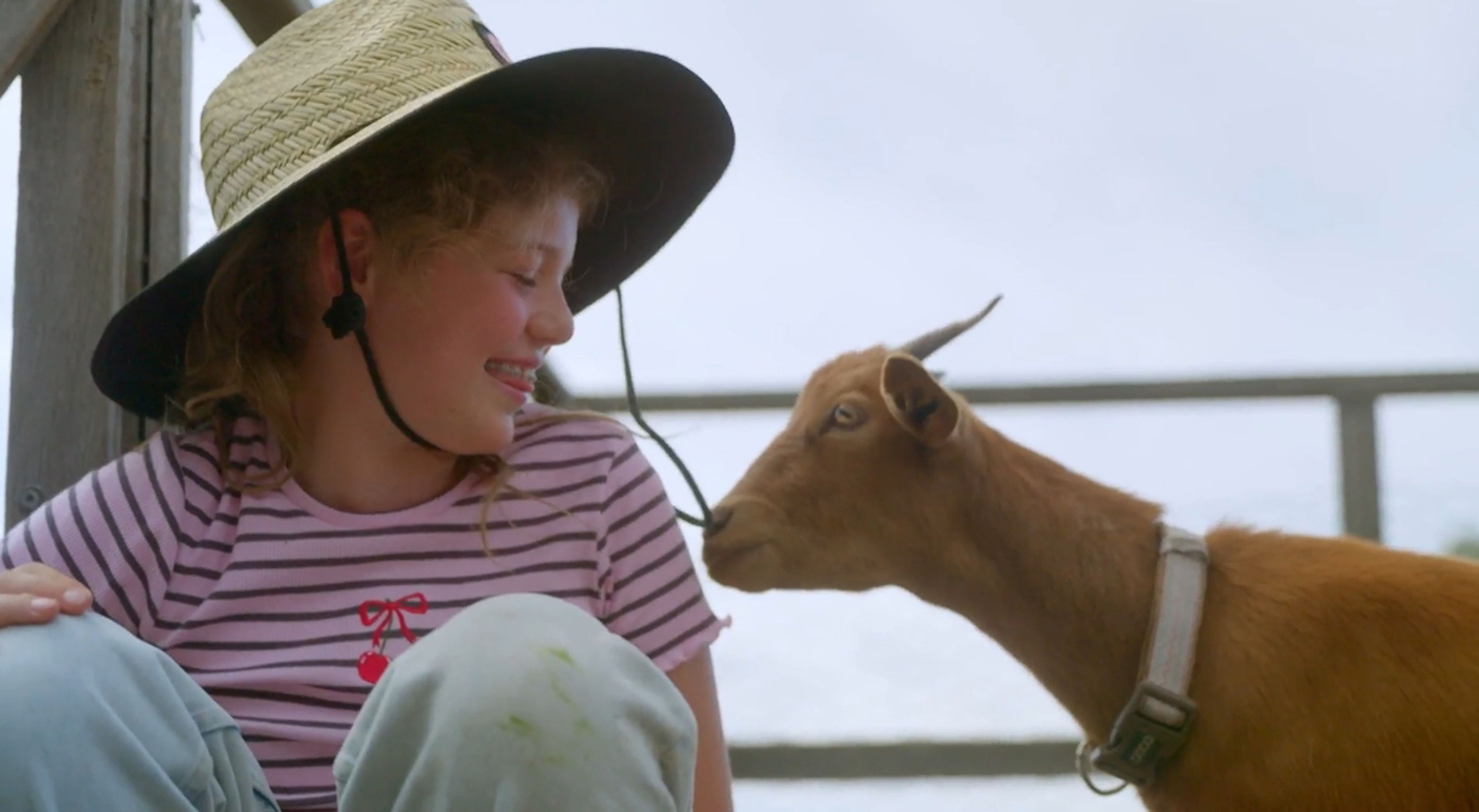 Mini Farms - Meet the Goats