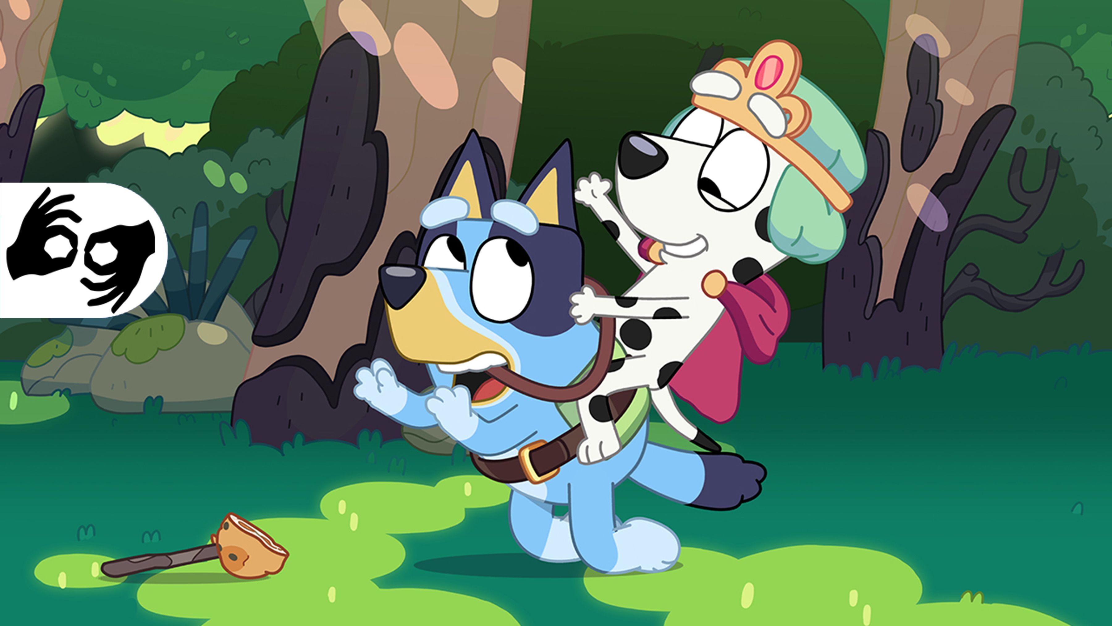The Adventure