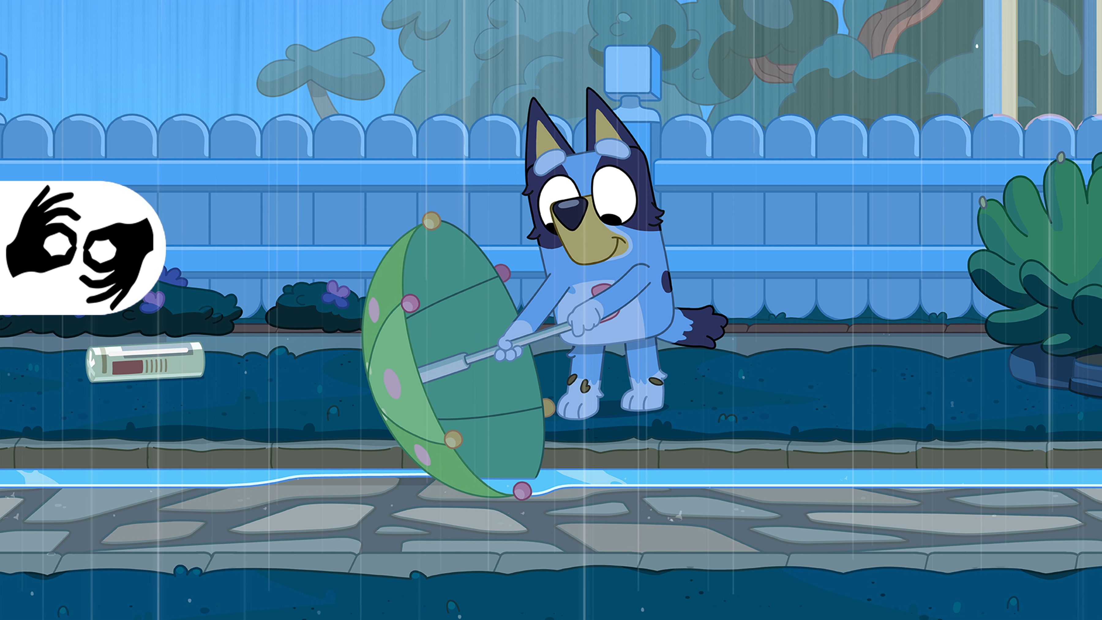 Rain