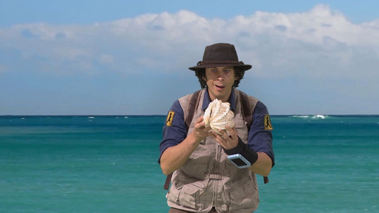 Kimmerosaurus And Clamshell