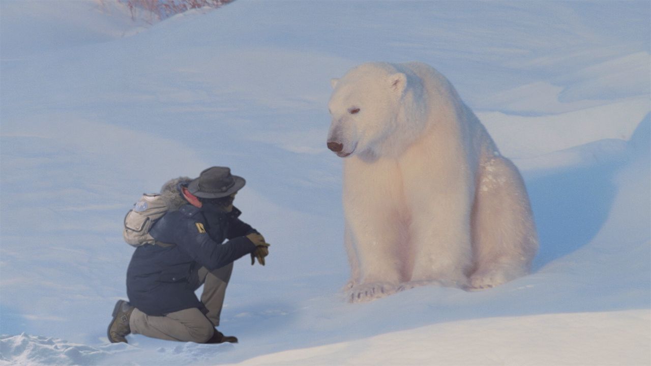 Andy and the Arctic Fox