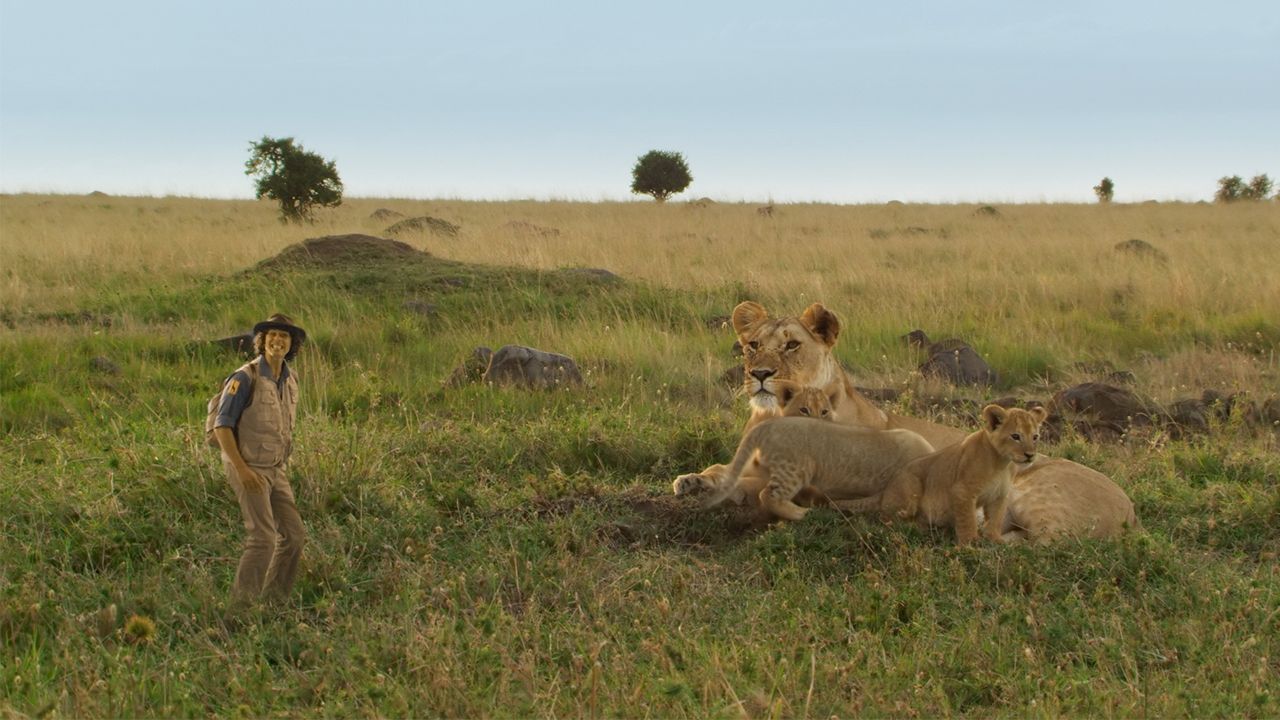 Andy and the Lions