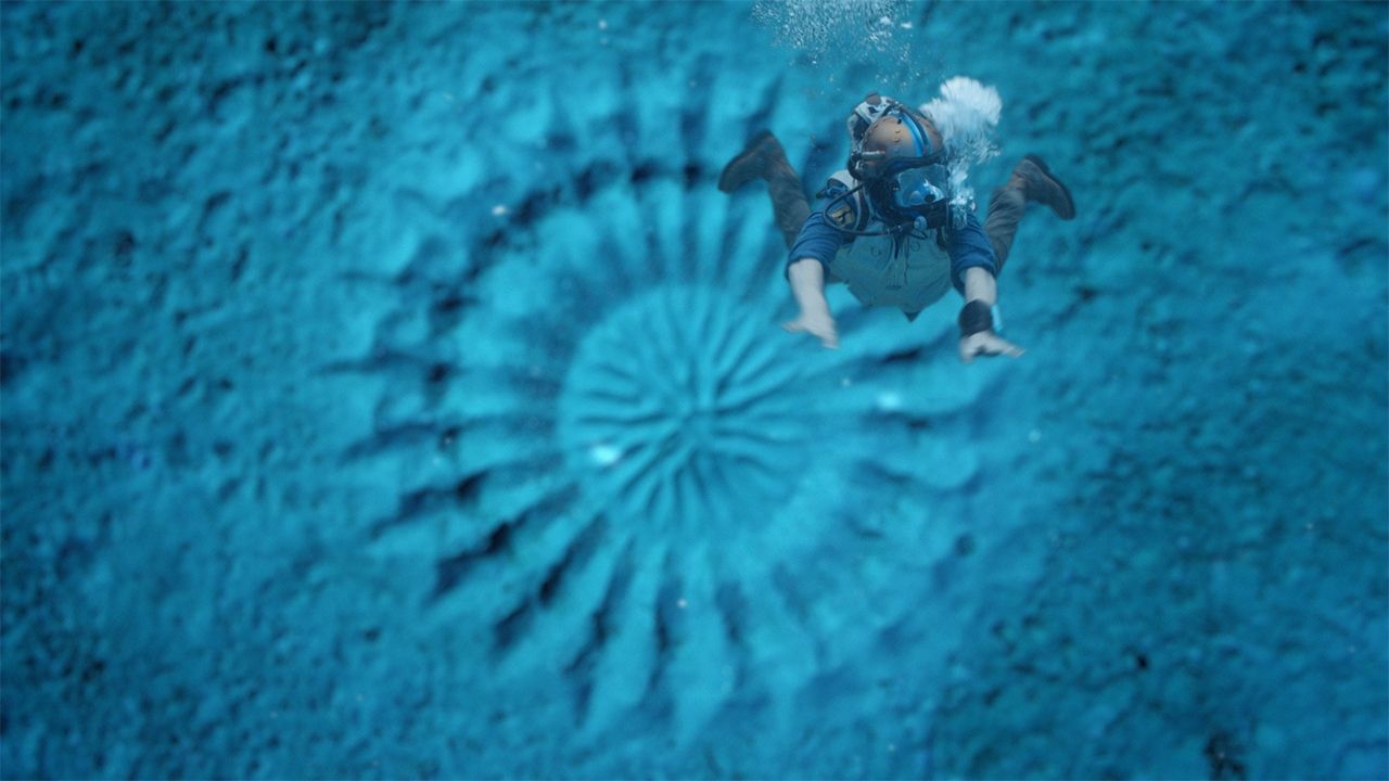 Andy and the Pufferfish