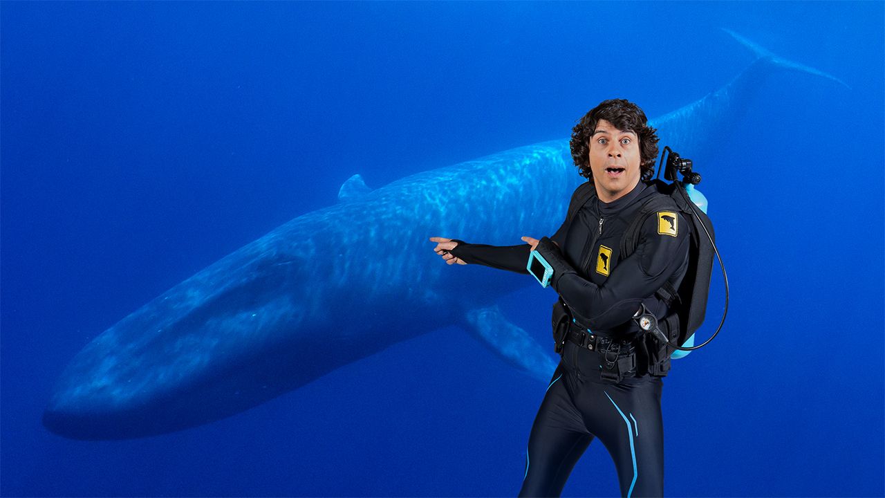 Andy And The Blue Whale
