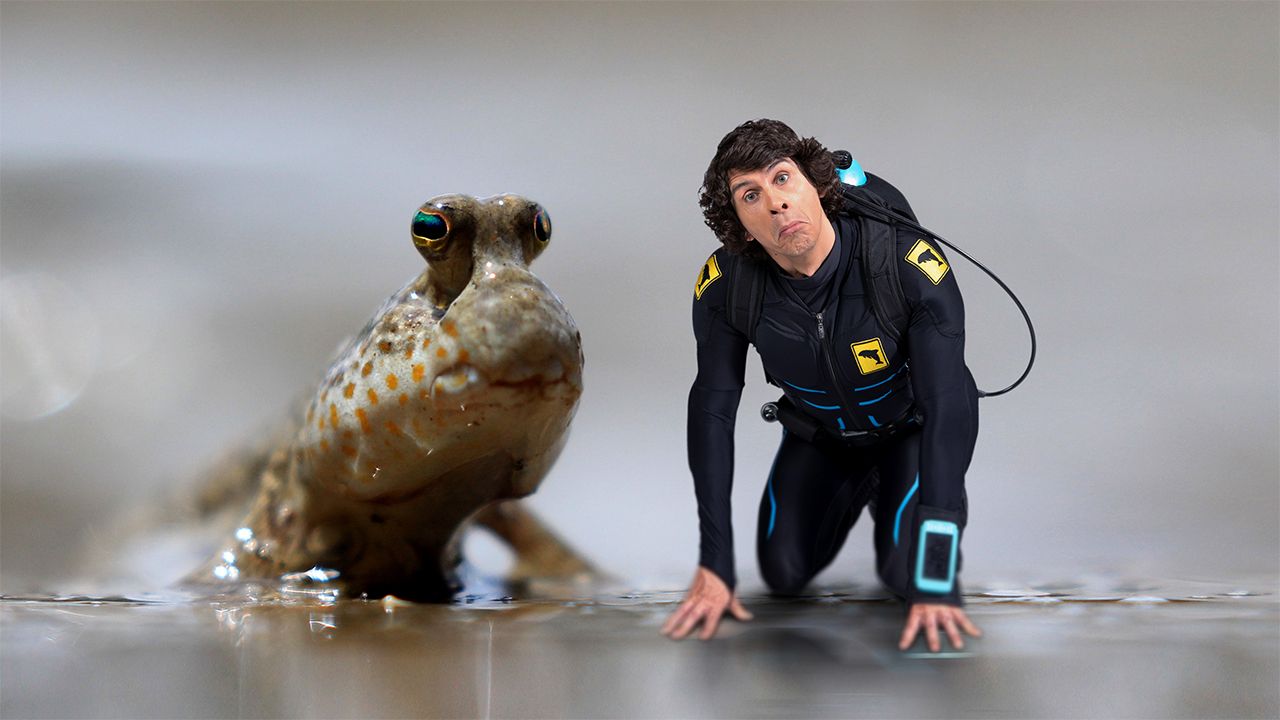 Andy And The Mudskipper
