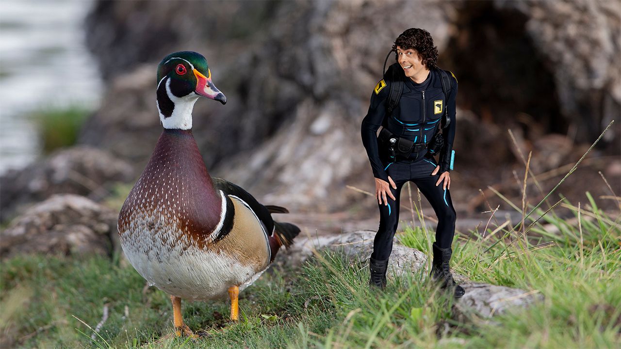 Andy's Aquatic Adventures