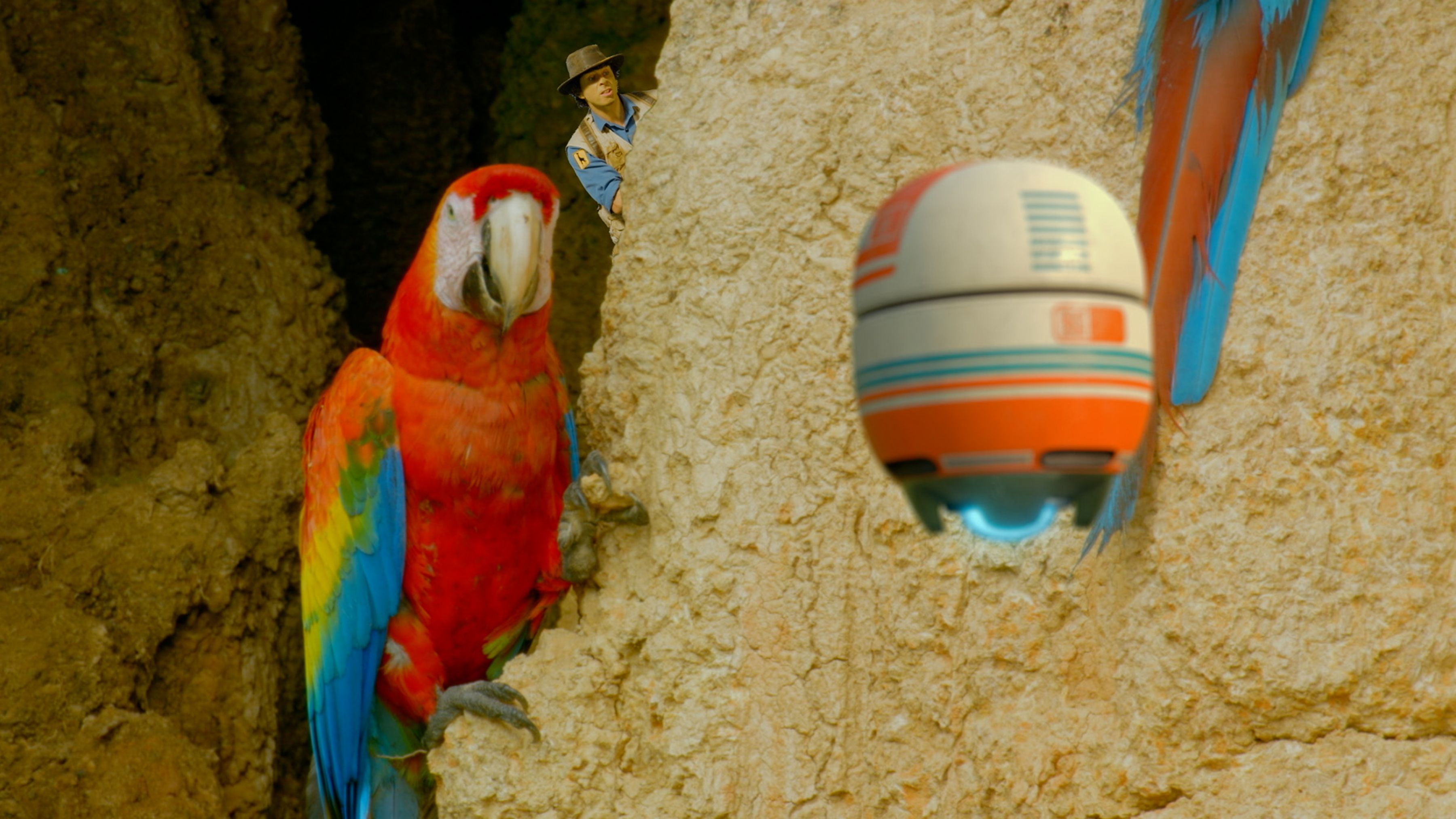 Andy And The Scarlet Macaws