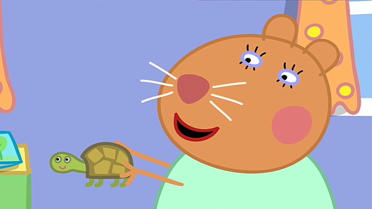 Doctor Hamster's Tortoise