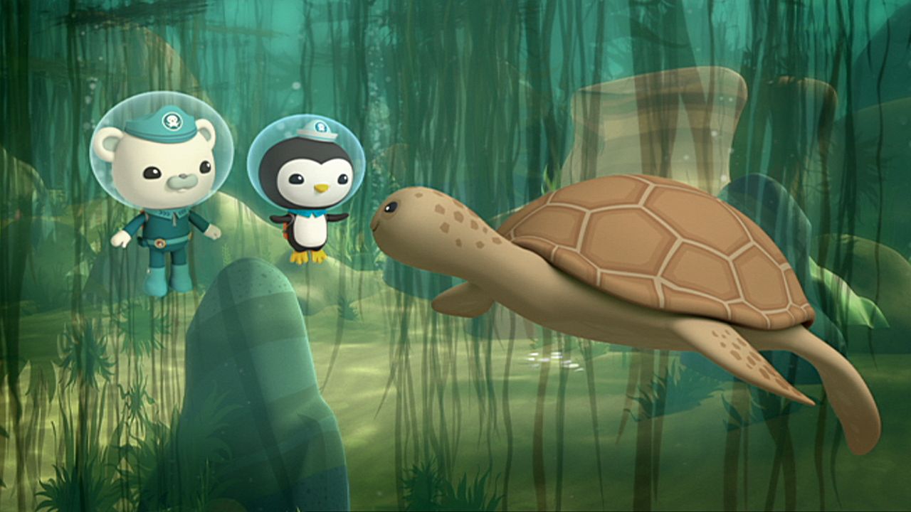 The Octonauts And The Loggerhead Sea Turtle