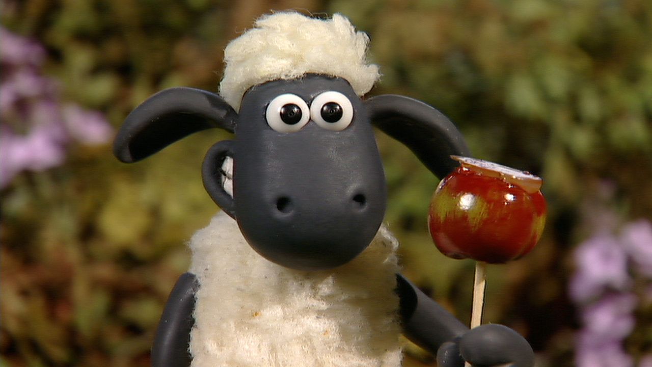 Sheep On The Loose